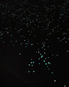 An exposed aggregate pool surround at night in Huntly — sun-charged glow stones scattered across the surface.